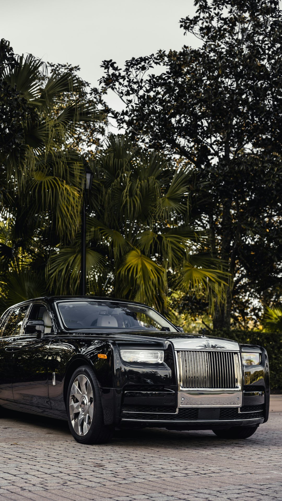luxury car collection