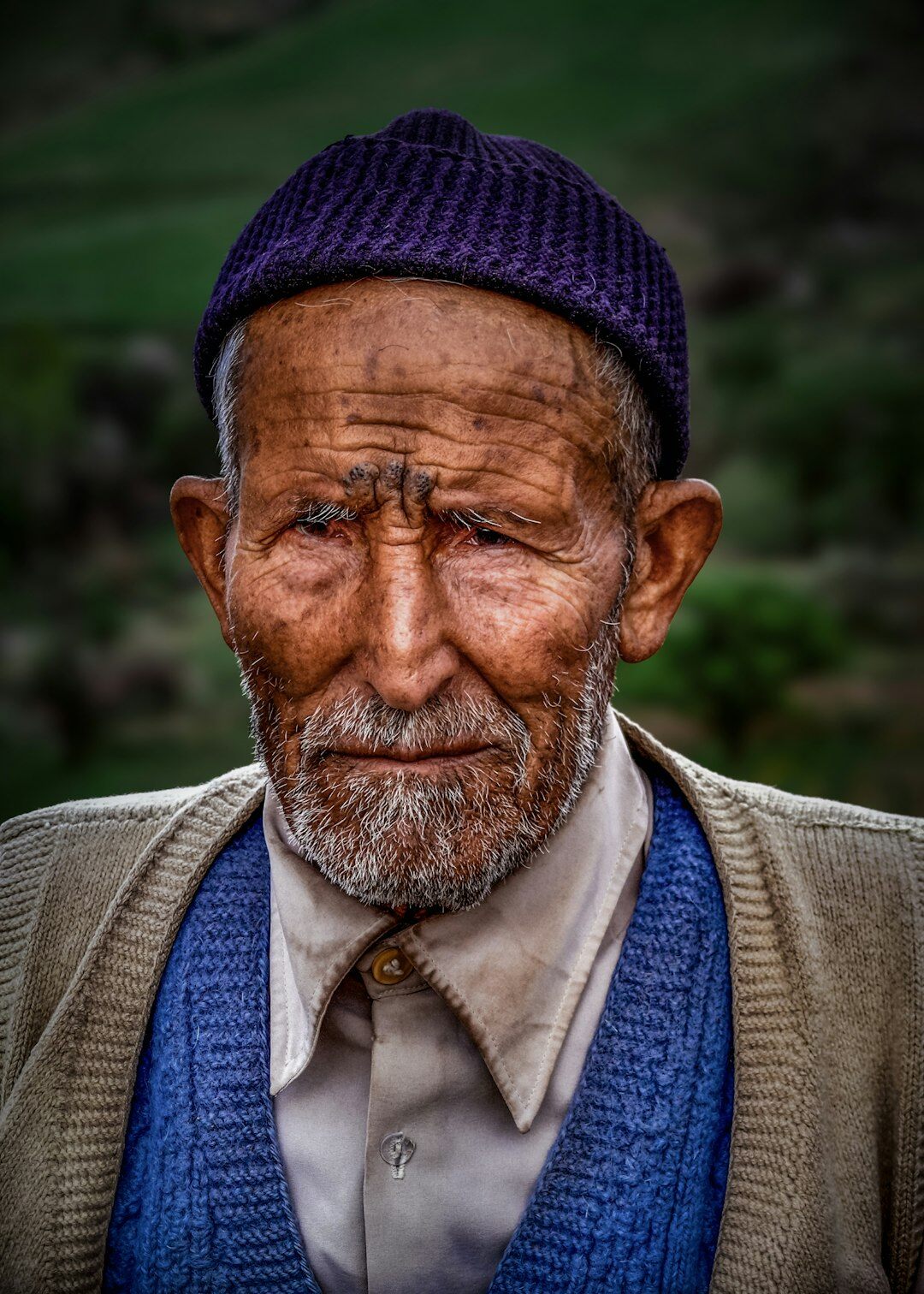Portrait of a Lithuanian gardening author in his sixties